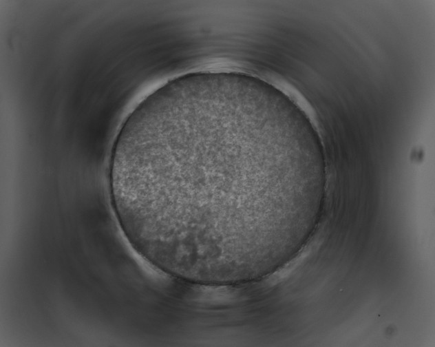 X0000101191429200807181500
