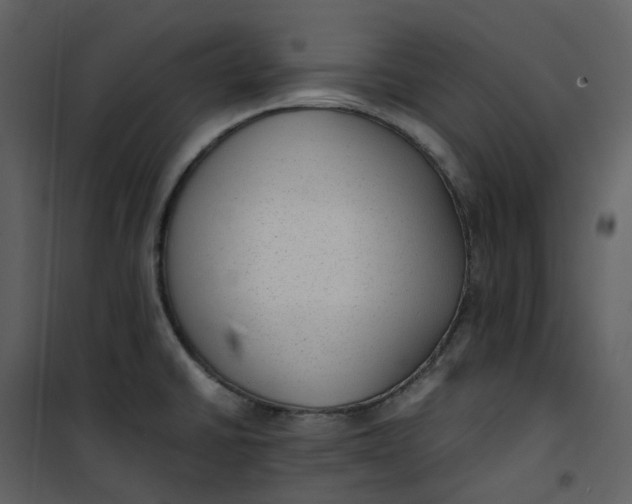 X0000101191430200807181500