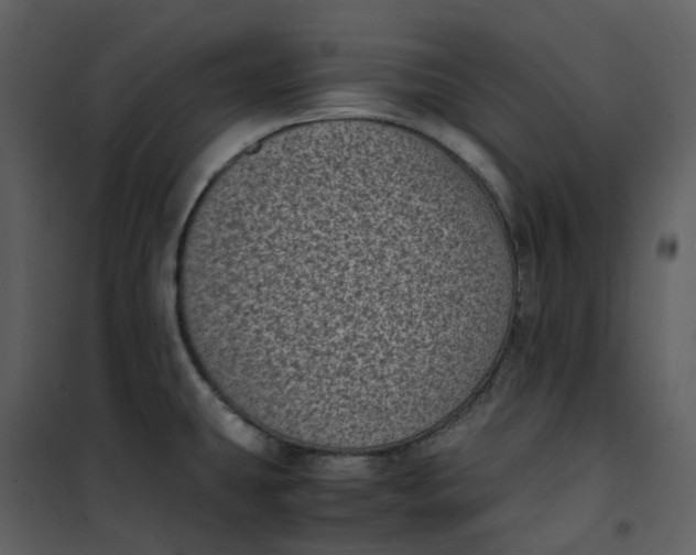 X0000101191431200807181500