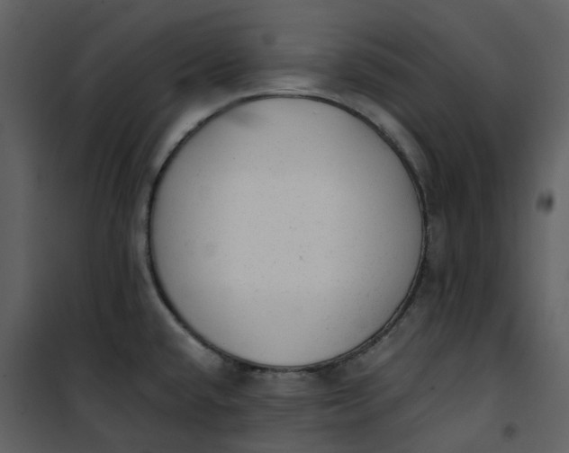 X0000101191432200807181500