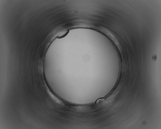 X0000101191433200807181500