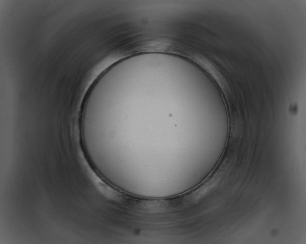 X0000101191434200807181500