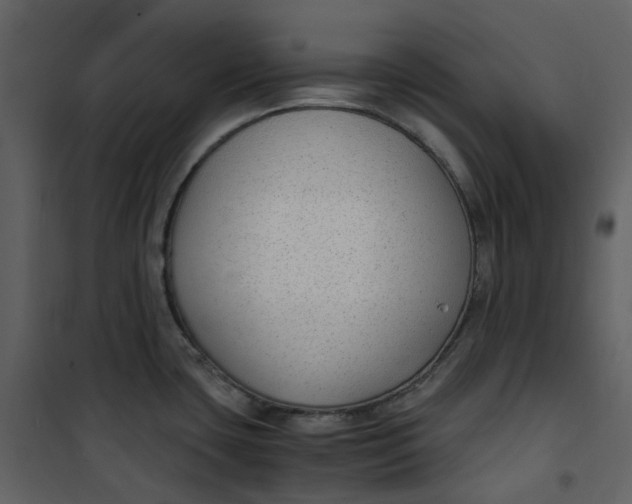 X0000101191435200807181500