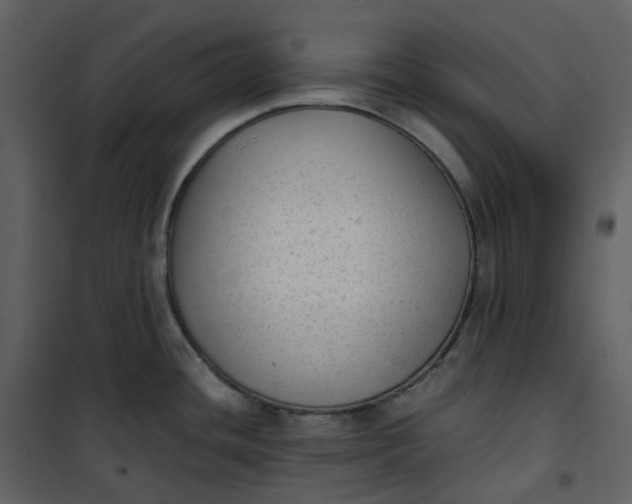 X0000101191436200807181500