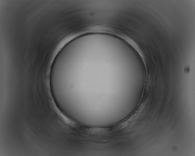 X0000101191437200807181501