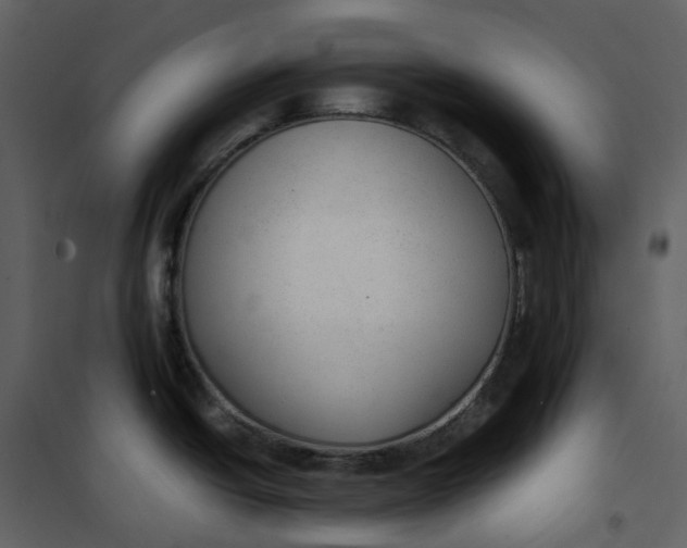 X0000101191438200807181501