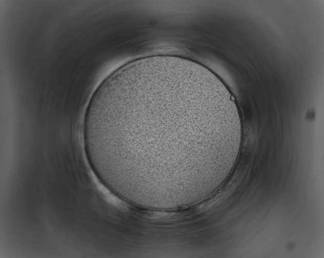 X0000101191439200807181501