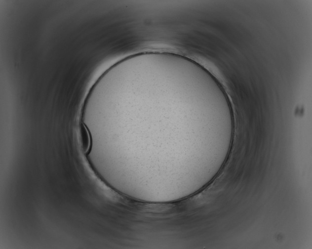 X0000101191440200807181501