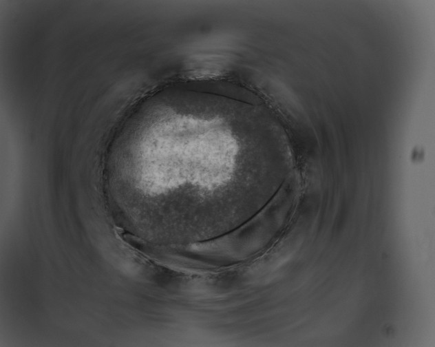 X0000101191441200807181500