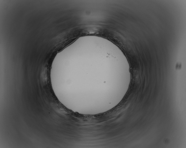 X0000101191442200807181500