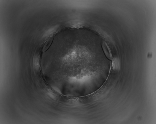 X0000101191444200807181500