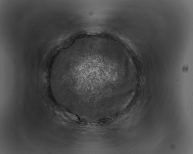 X0000101191445200807181500