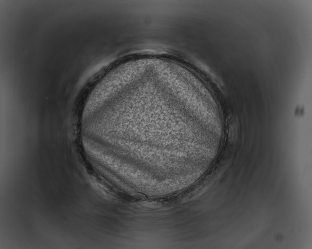 X0000101191448200807181500