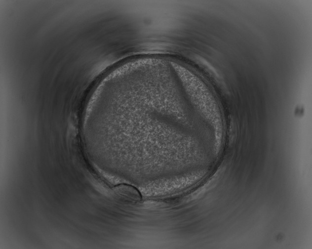 X0000101191449200807181500
