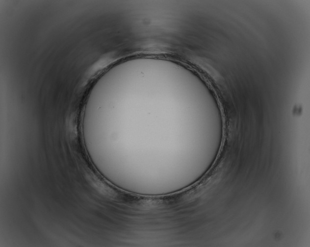 X0000101191451200807181500