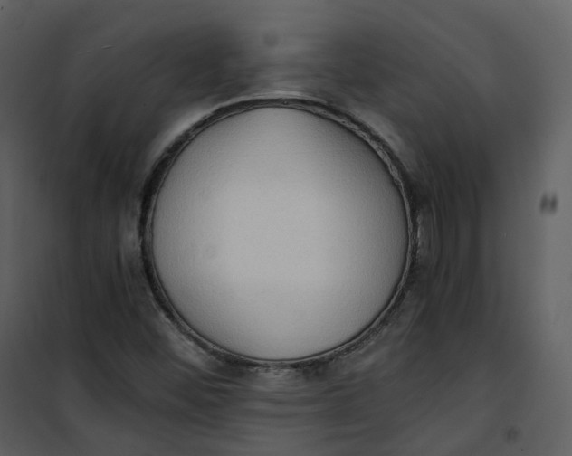 X0000101191452200807181500