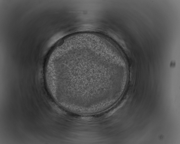 X0000101191453200807181500