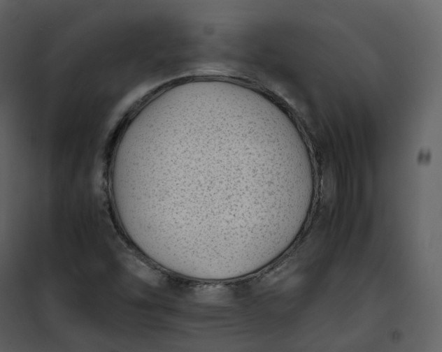 X0000101191454200807181500