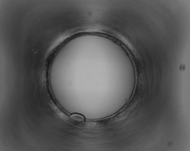 X0000101191456200807181500