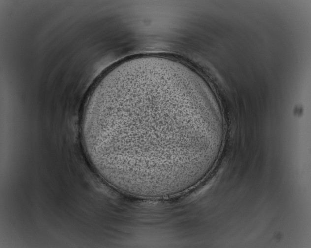 X0000101191457200807181500