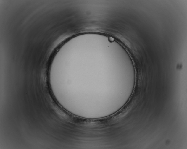 X0000101191458200807181500