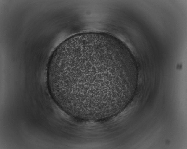 X0000101191459200807181500