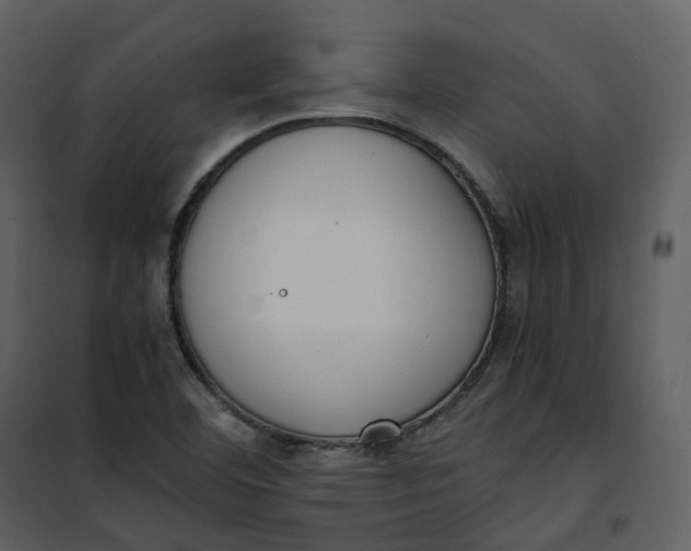 X0000101191460200807181500