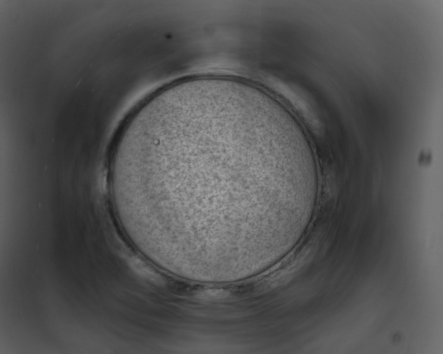 X0000101191462200807181500