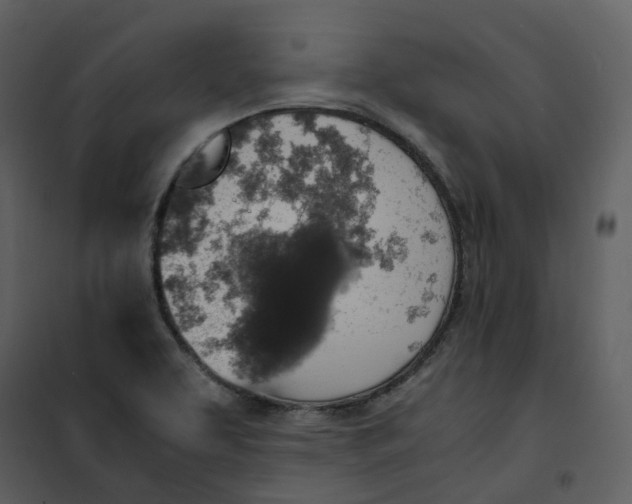 X0000101191463200807181500