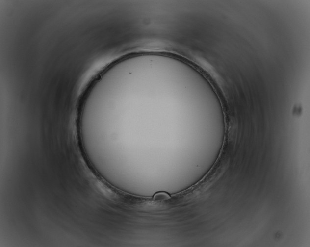 X0000101191464200807181500