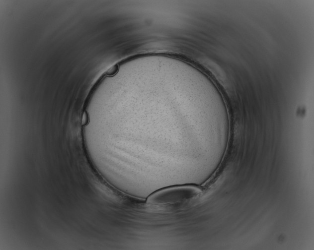 X0000101191465200807181500