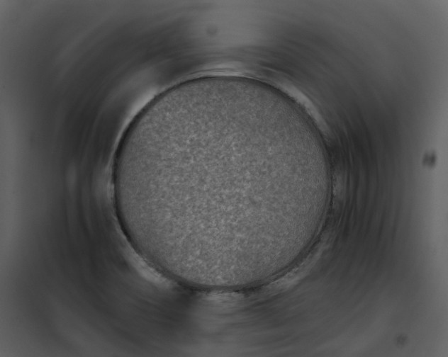 X0000101191466200807181500