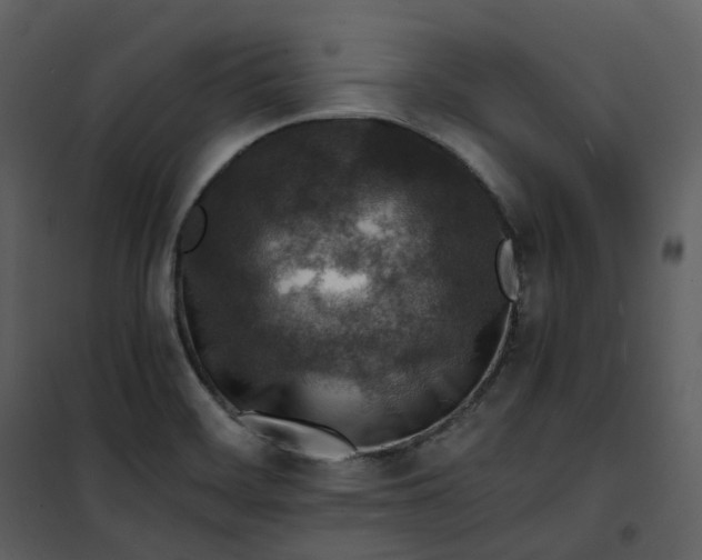 X0000101191468200807181500