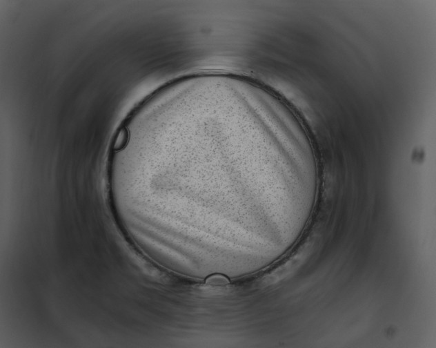 X0000101191469200807181459