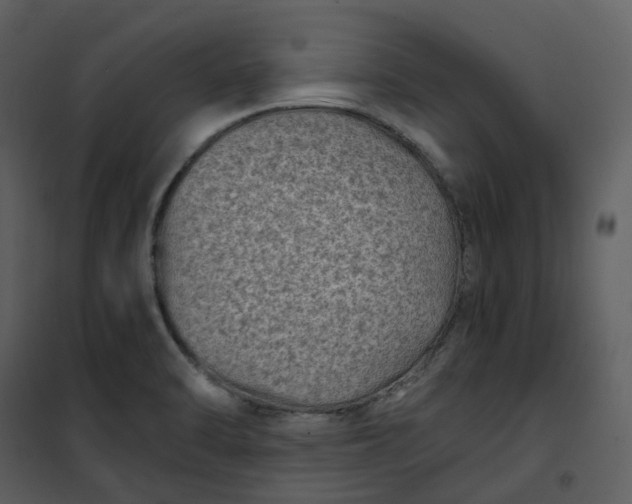 X0000101191470200807181459