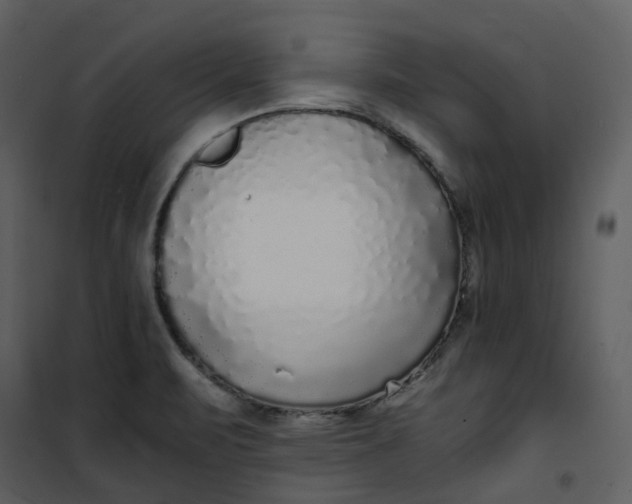 X0000101191471200807181459