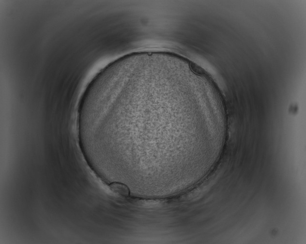 X0000101191472200807181459