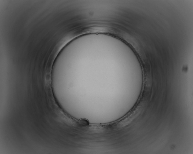 X0000101191473200807181459