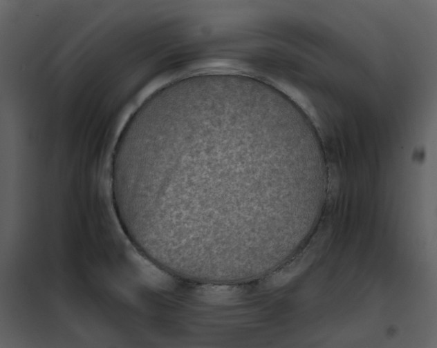 X0000101191474200807181459
