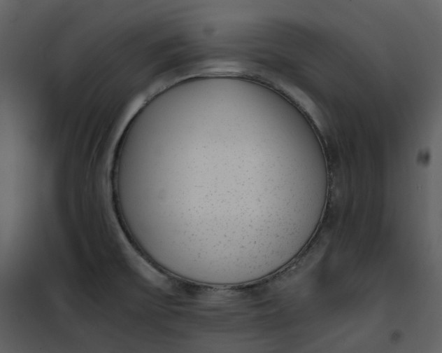 X0000101191475200807181459