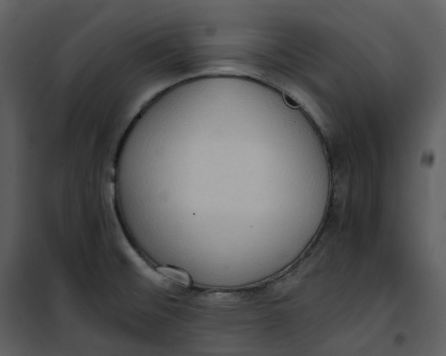 X0000101191476200807181459