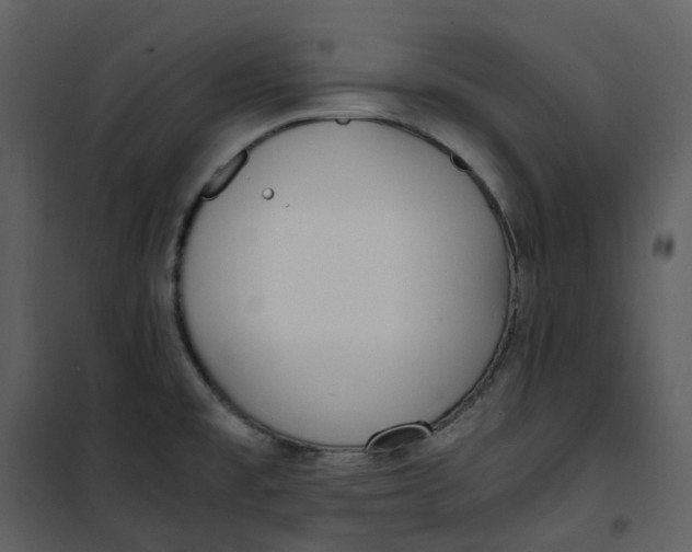 X0000101191477200807181459