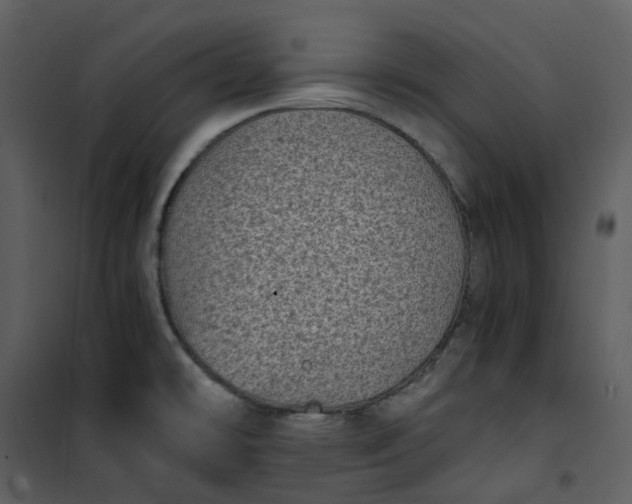 X0000101191478200807181459