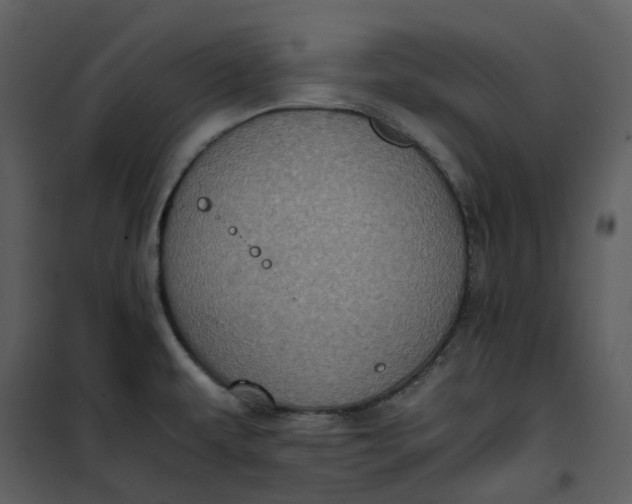 X0000101191479200807181459