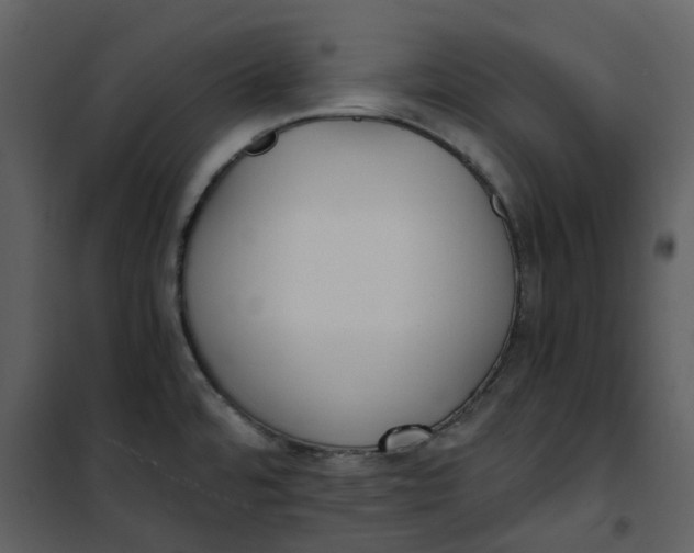 X0000101191480200807181459