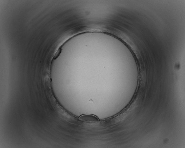 X0000101191481200807181459