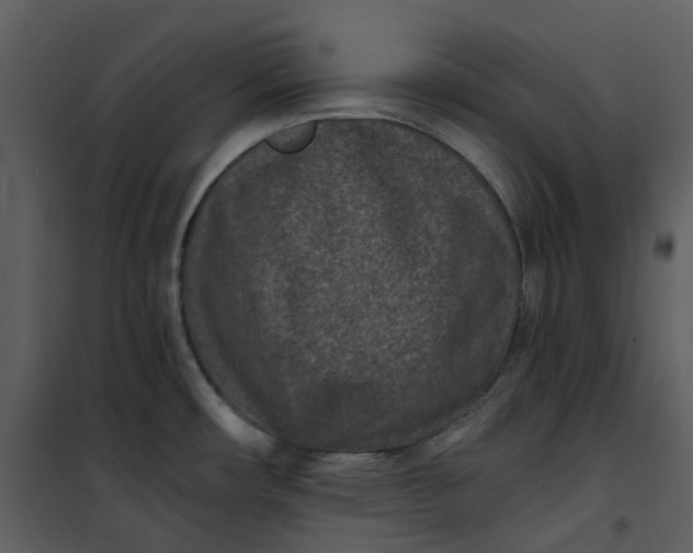 X0000101191482200807181459