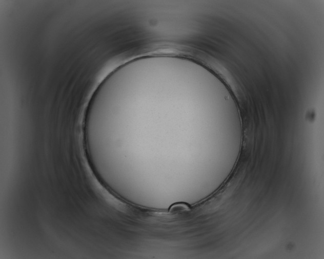 X0000101191483200807181459