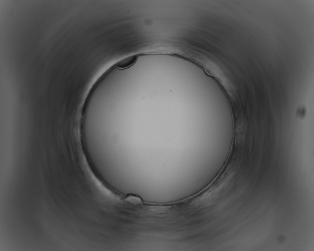 X0000101191484200807181459