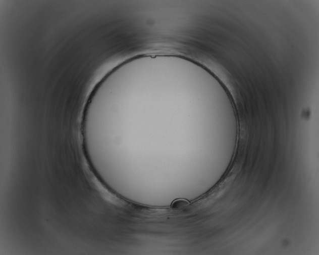 X0000101191485200807181459